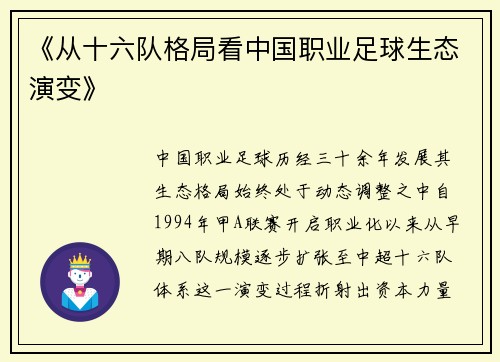 《从十六队格局看中国职业足球生态演变》